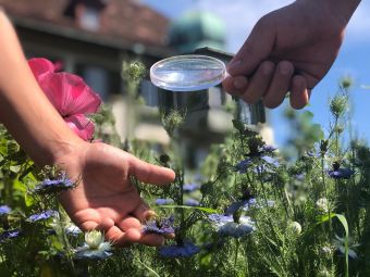 Förderbereich Kind – Eltern