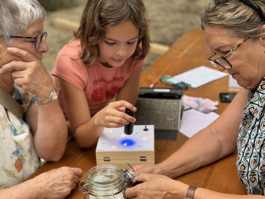 Rätsel geknackt? (Foto: Stiftung 3FO - FK)  Rätsel geknackt? (Foto: Stiftung 3FO - FK)