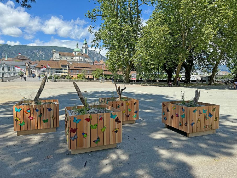 Schön sind sie geworden, die vier biodiversitätsfördernden Pflanzgefässe für die Stadt Solothurn, welche die Kinder am Stadtfest bepflanzt und verziert haben. (Foto: Stiftung 3FO - FK)! Schön sind sie geworden, die vier biodiversitätsfördernden Pflanzgefässe für die Stadt Solothurn, welche die Kinder am Stadtfest bepflanzt und verziert haben. (Foto: Stiftung 3FO - FK)!
