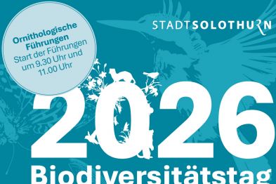 Biodiversitätstag 2026 – Stiftung 3FO engagiert sich für Artenvielfalt im Siedlungsraum