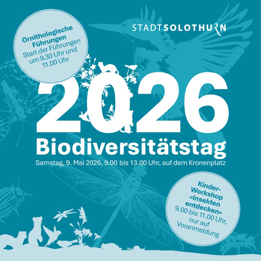 Biodiversitätstag 2026 – Stiftung 3FO engagiert sich für Artenvielfalt im Siedlungsraum