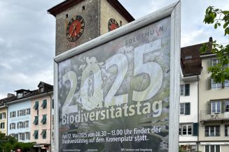 Biodiversitätstag 2025 in Solothurn – gemeinsam gegen invasive Neophyten