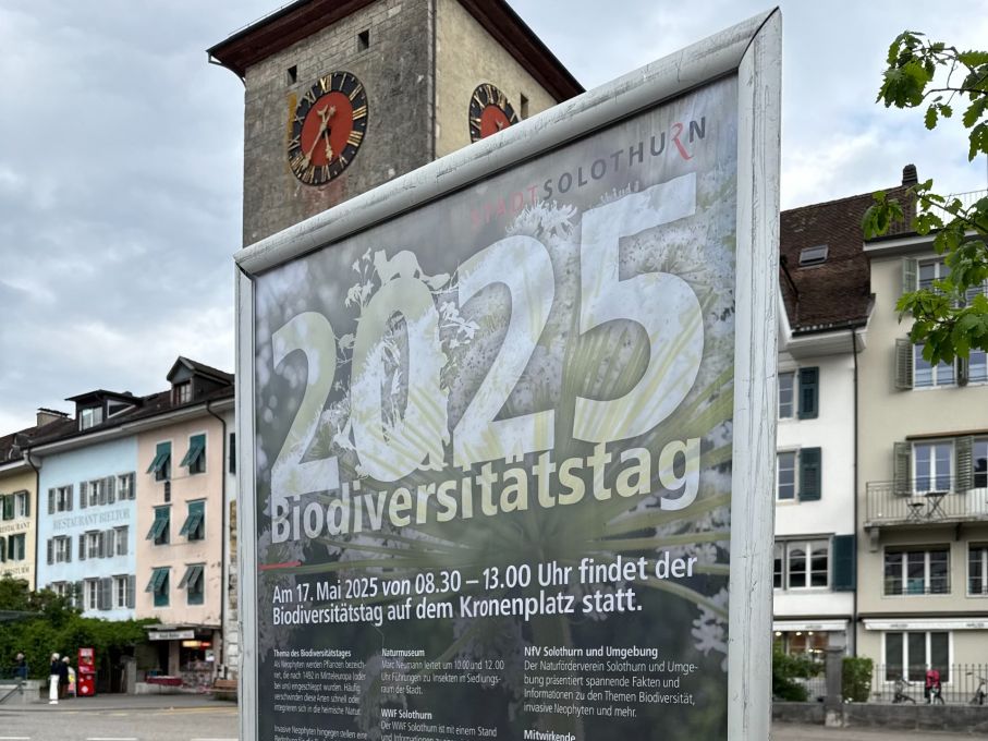 Biodiversitätstag 2025 in Solothurn – gemeinsam gegen invasive Neophyten Biodiversitätstag 2025 in Solothurn – gemeinsam gegen invasive Neophyten