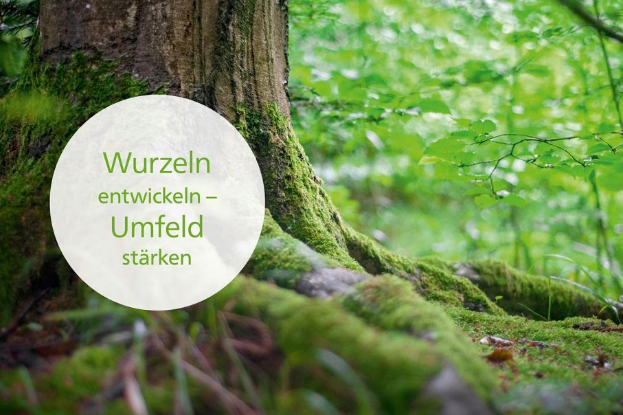 Hausmesse 2021 Hausmesse 2021